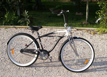 Cruiser Bicolor